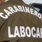 Carabineros captura a sospechoso de homicidio en la comuna de Fresia tras ataque con arma blanca