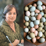 Senadora Carmen Gloria Aravena propone nuevas categorías para la producción local en discusión sobre la “Ley del Huevo”