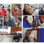 Turismo sustentable en acción: Comité Regional de Los Lagos consolida hoja de ruta para la Ruta de los Parques