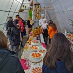Fiesta de la Semilla se toma los liceos de la Región de Los Lagos