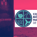 CASO DOMINGA | Pronunciamiento del Colegio de Biólogos y Biólogas Marinos de Chile