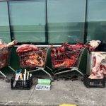 Puerto Montt: Carabineros realiza el mayor decomiso de carne del año en operativo en Alerce