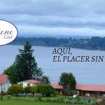 Laguneclub: historia, naturaleza y turismo Pet Friendly a orillas del Lago Llanquihue