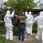 Doble homicidio en Puerto Montt: presunto autor se dispara al ser encontrado por Carabineros